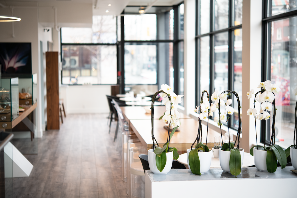 restaurant 190389 1775065736
