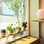 restaurant 190730 1775048055