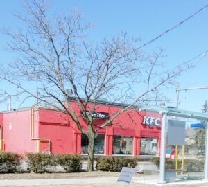 restaurant 191687 1775069312