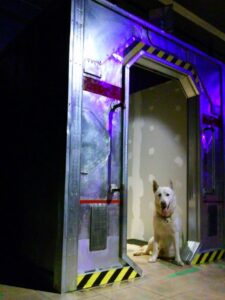 restaurant 192443 1775071715