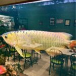 restaurant 192456 1775148271