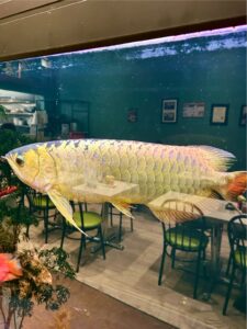 restaurant 192456 1775148271