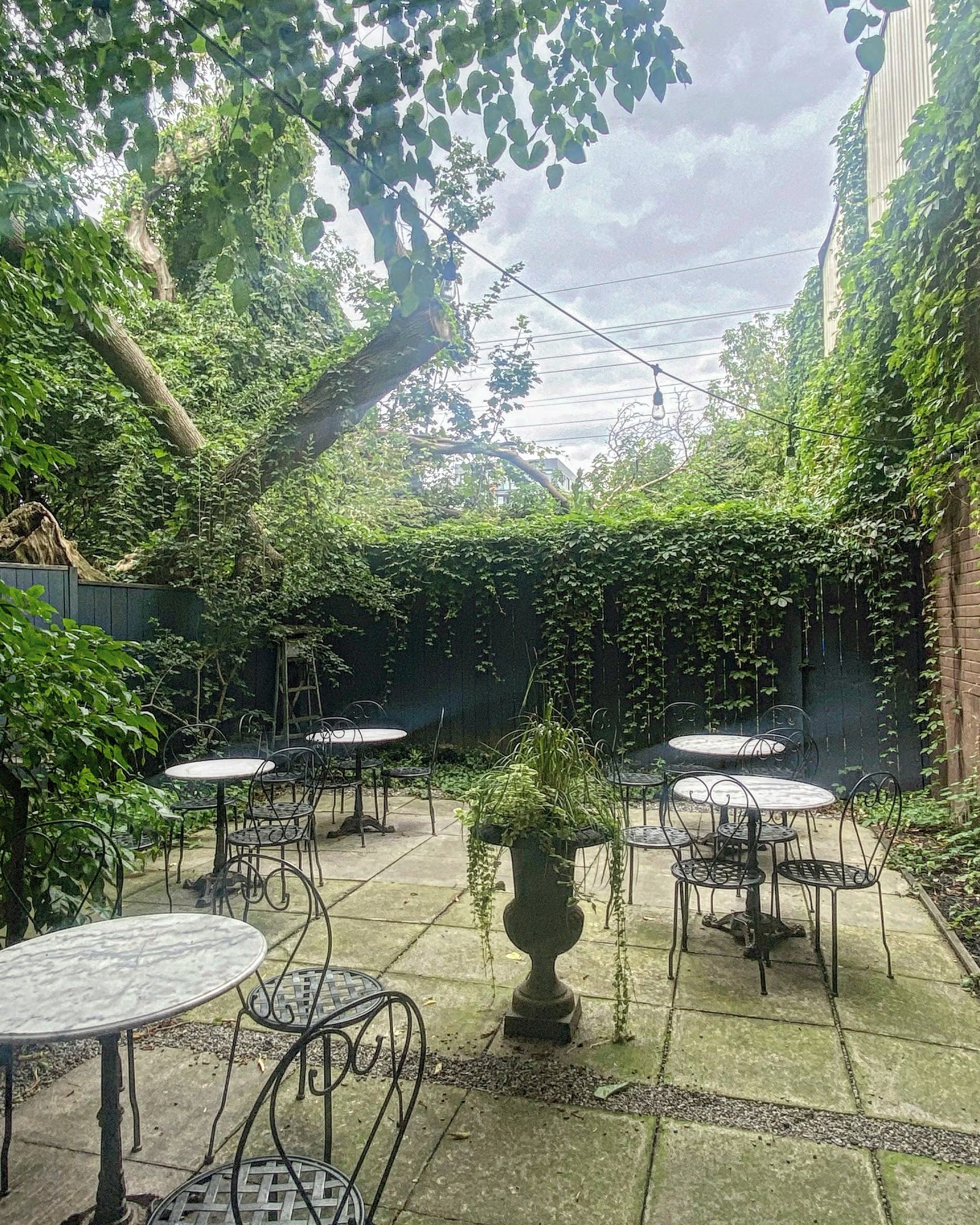 restaurant 194106 1775153419