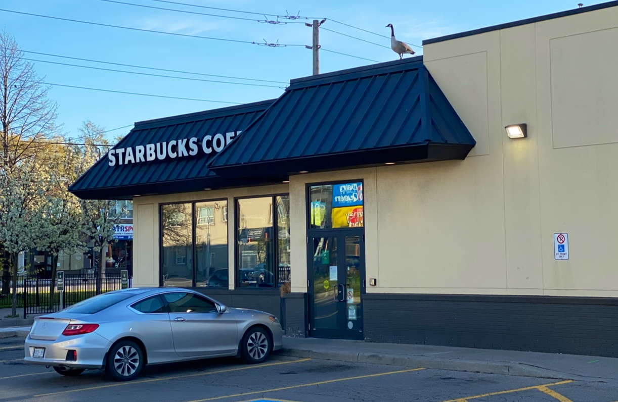 restaurant 194398 1775153502