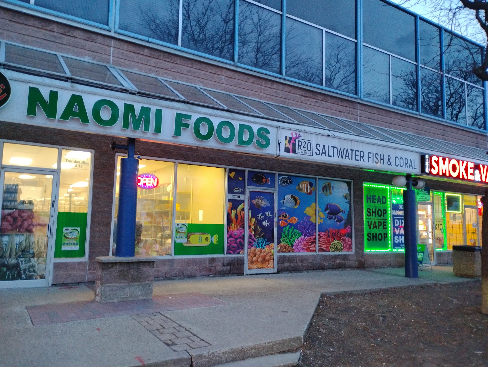 restaurant 194595 1775153560