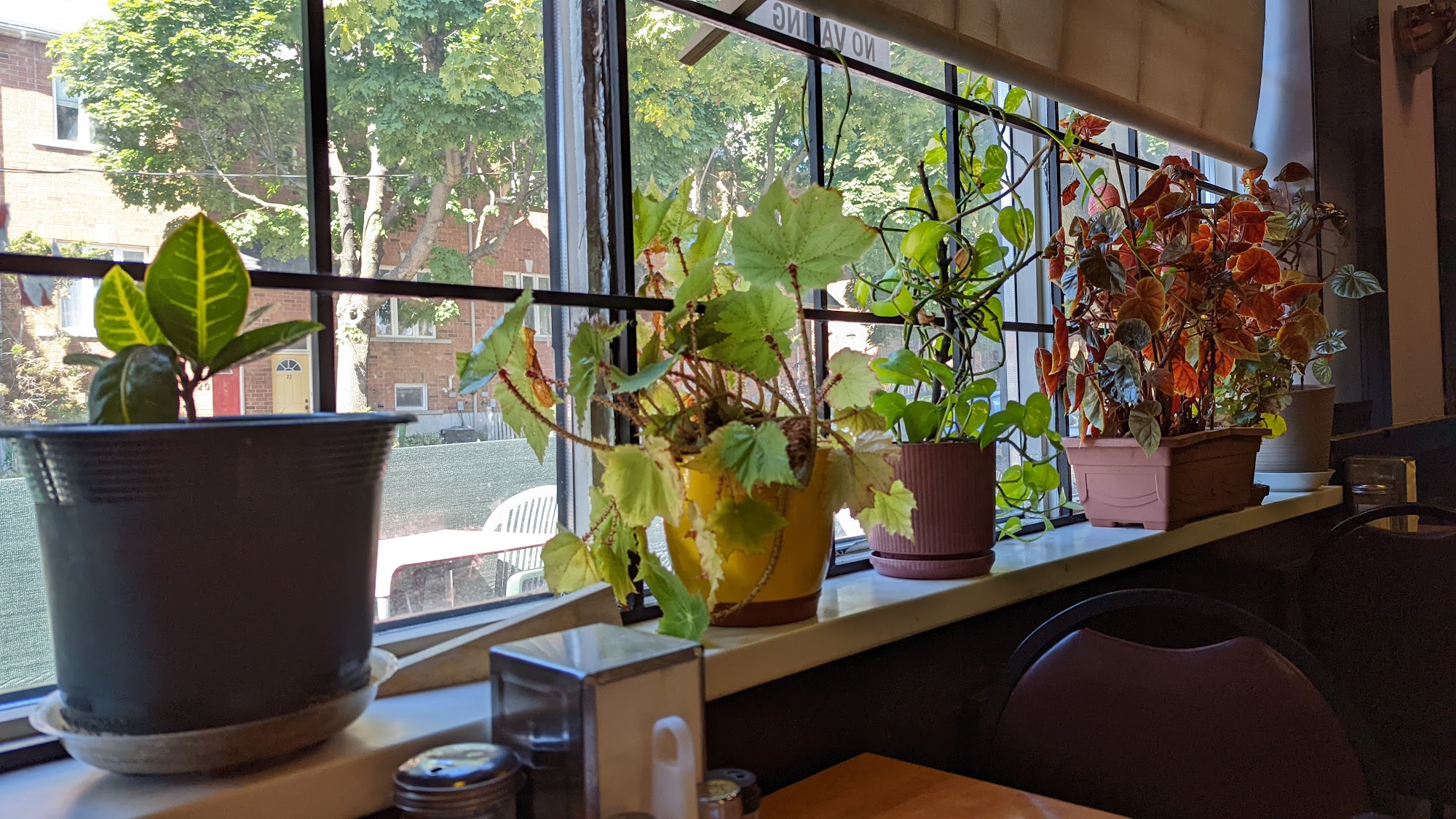 restaurant 194674 1775153588