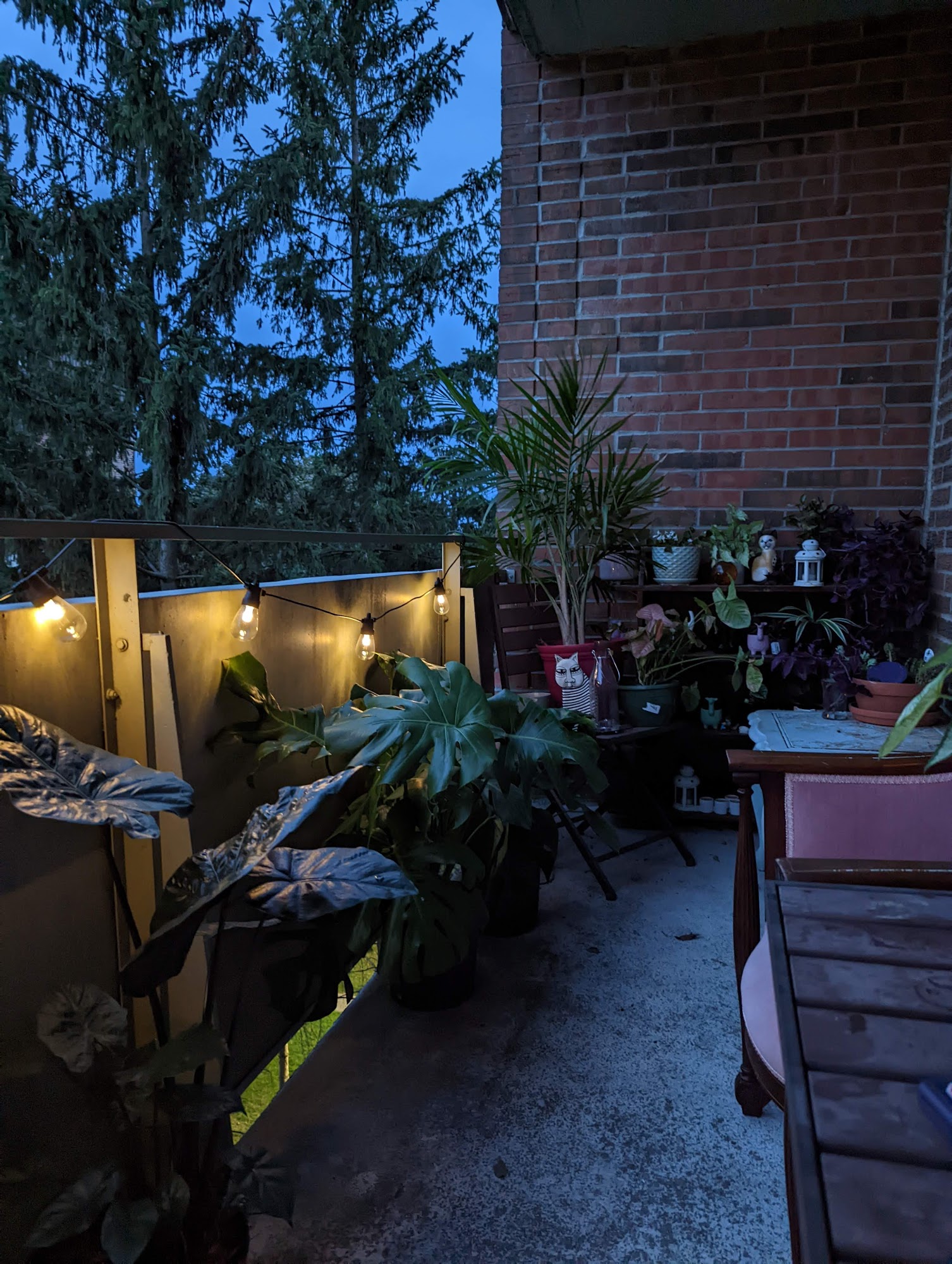 restaurant 194914 1775153662