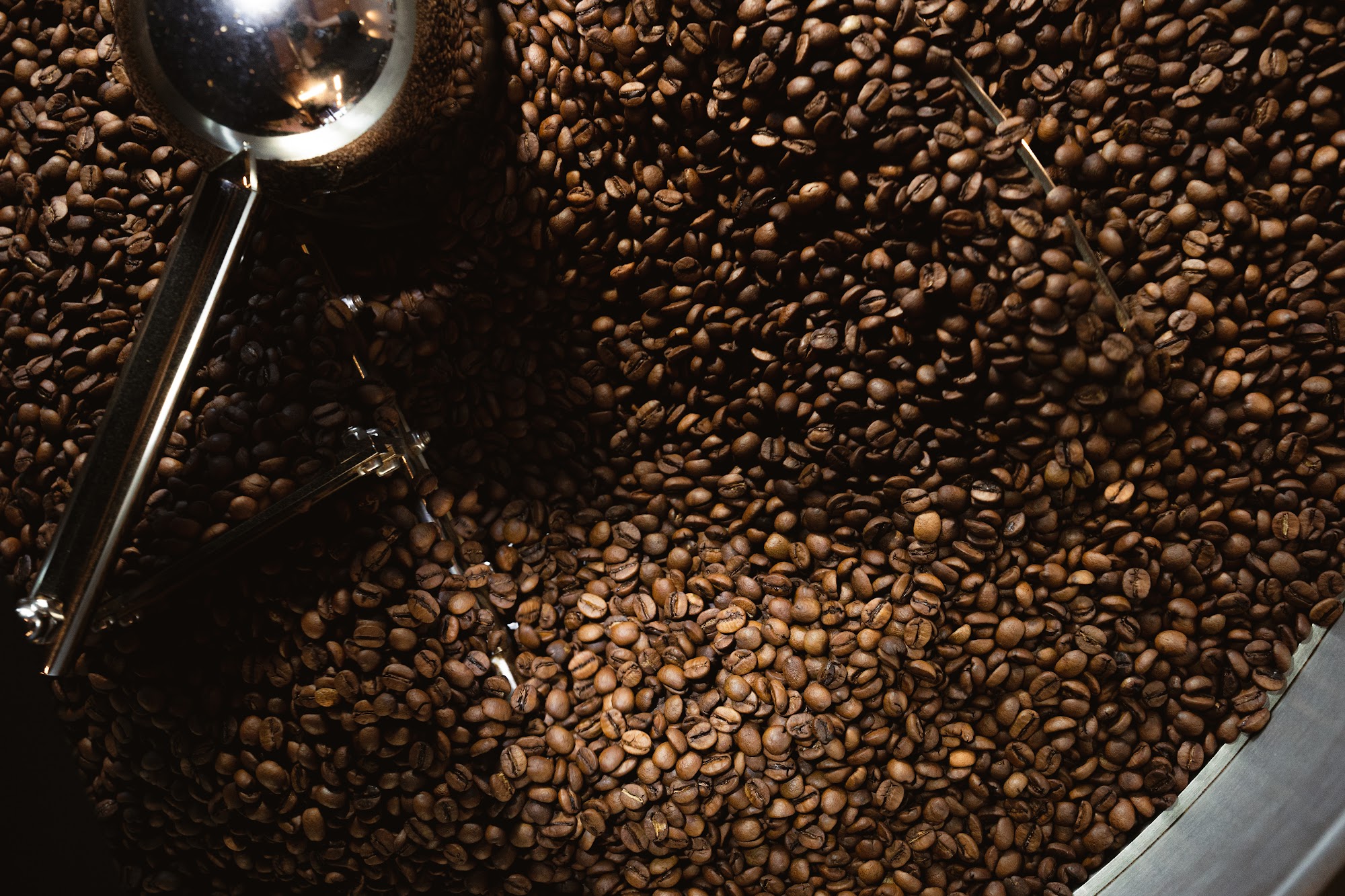 restaurant 194956 1775153680