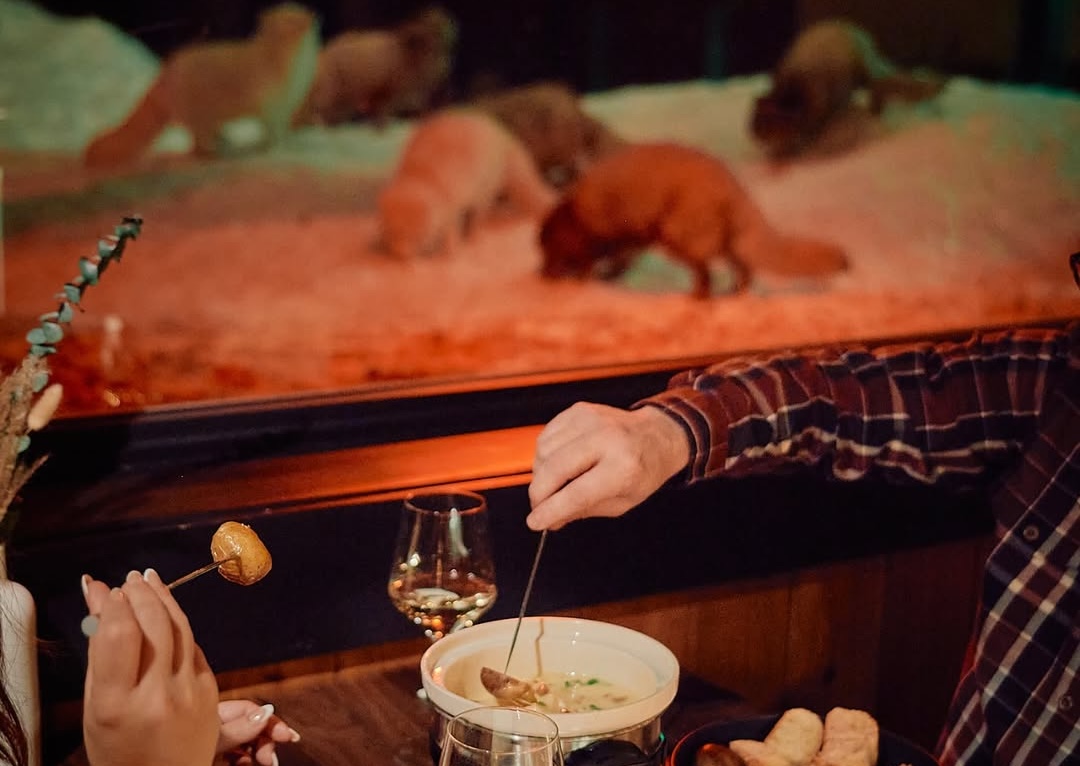 SnapInsta Ai 3836778076723307104