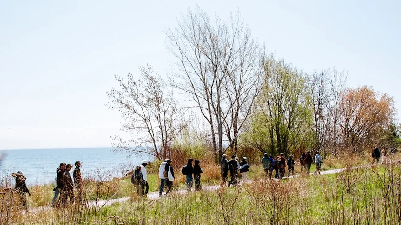 Spring Bird Festival, Tommy Thompson Park