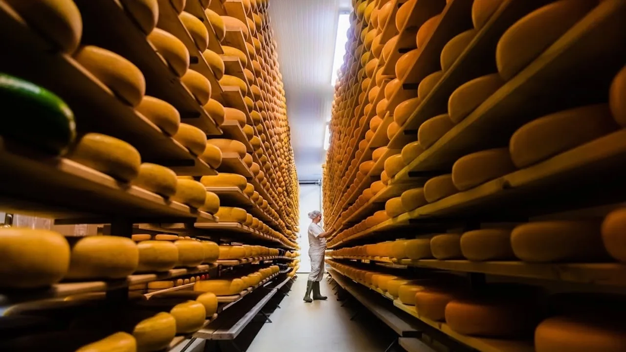 This secret Saturday cheese festival is only 90 minutes from Toronto, Canada Reviews