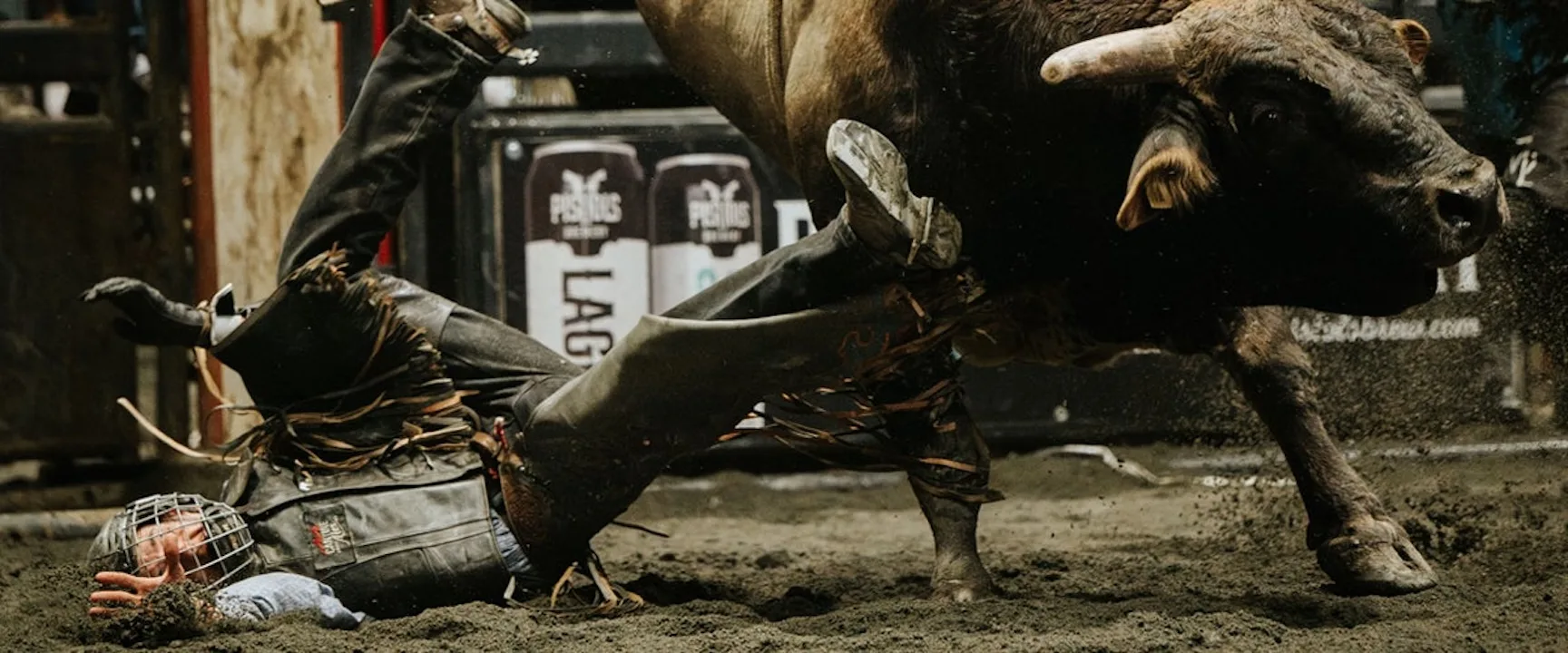oshawa stampede