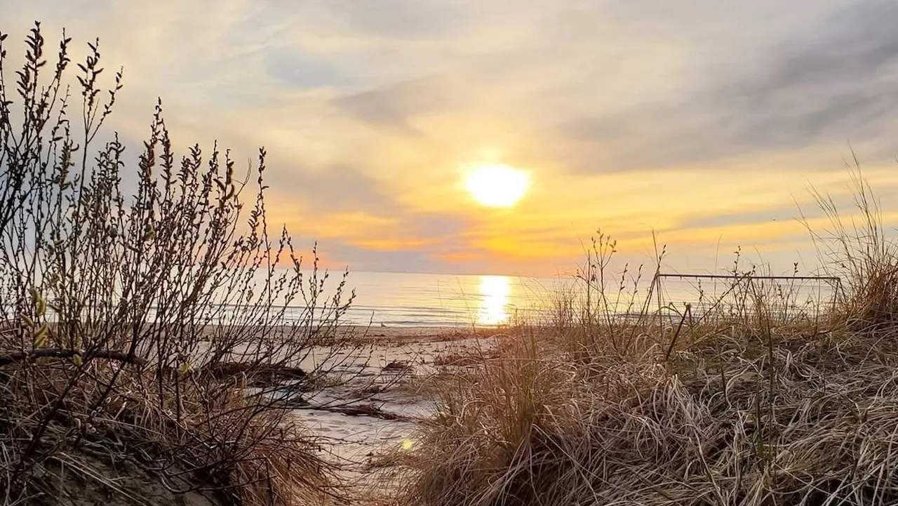 This stunning white-sand beach near Toronto feels like the Caribbean — And it’s only 3 hours away, Canada Reviews